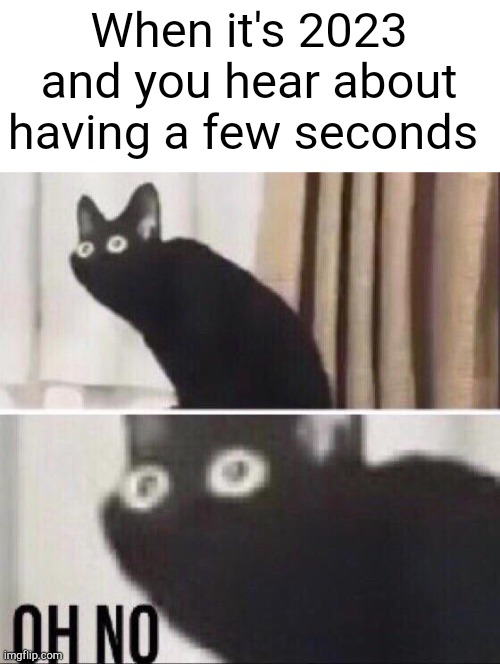 Oh s**t! | When it's 2023 and you hear about having a few seconds | image tagged in oh no cat,memes | made w/ Imgflip meme maker