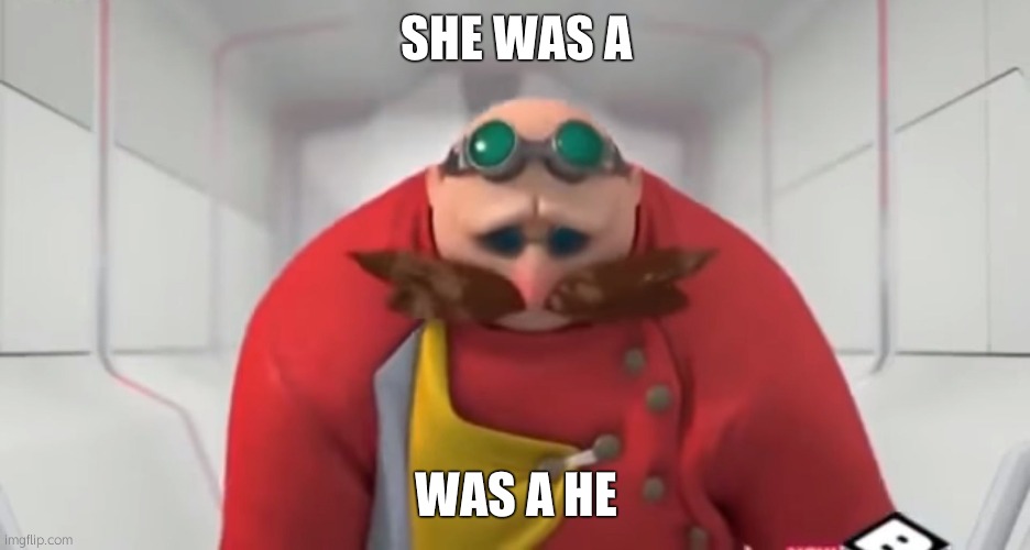 Sonic Boom - Sad Eggman | SHE WAS A WAS A HE | image tagged in sonic boom - sad eggman | made w/ Imgflip meme maker