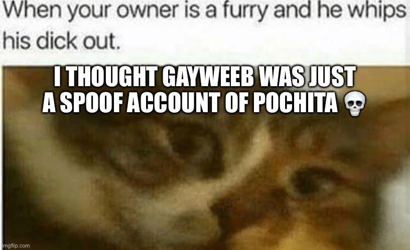 I THOUGHT GAYWEEB WAS JUST A SPOOF ACCOUNT OF POCHITA 💀 | made w/ Imgflip meme maker