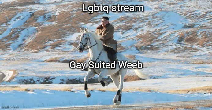 Bros are really riding him hard | Lgbtq stream; Gay Suited Weeb | image tagged in kim jong un riding a white horse | made w/ Imgflip meme maker