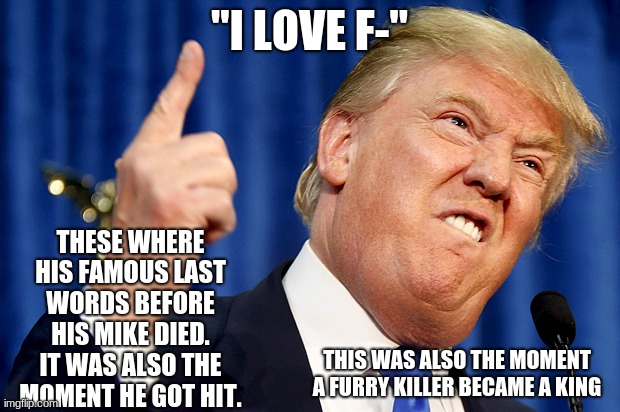 Can you connect the two stories | "I LOVE F-"; THESE WHERE HIS FAMOUS LAST WORDS BEFORE HIS MIKE DIED. IT WAS ALSO THE MOMENT HE GOT HIT. THIS WAS ALSO THE MOMENT A FURRY KILLER BECAME A KING | image tagged in donald trump | made w/ Imgflip meme maker