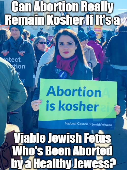Investigating Arguments About Abortions | Can Abortion Really 
Remain Kosher If It's a; Viable Jewish Fetus 
Who's Been Aborted 
by a Healthy Jewess? | image tagged in judaism,abortion,jews,abortion debate,judaics,health | made w/ Imgflip meme maker