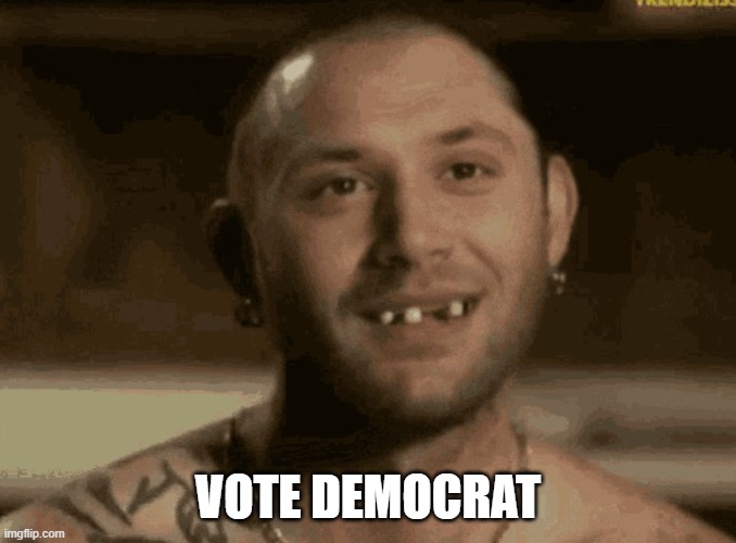 VOTE DEMOCRAT | made w/ Imgflip meme maker