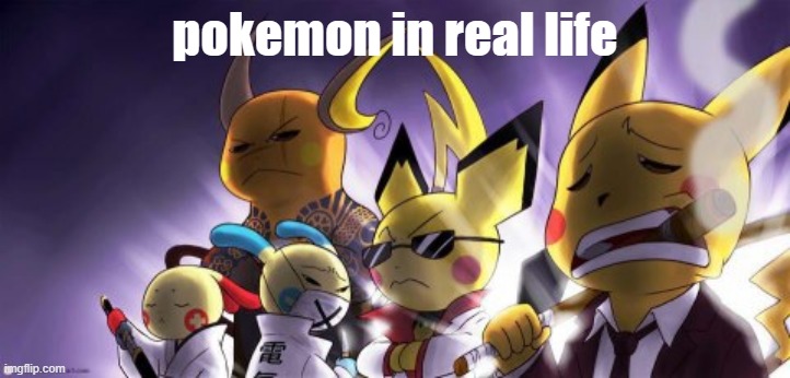 pokemon when they're off camera | pokemon in real life | image tagged in memes,cashwag crew,fun,funny,pokemon | made w/ Imgflip meme maker