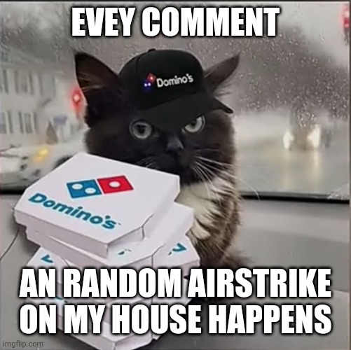 Dominos Cat | EVEY COMMENT; AN RANDOM AIRSTRIKE ON MY HOUSE HAPPENS | image tagged in dominos cat | made w/ Imgflip meme maker