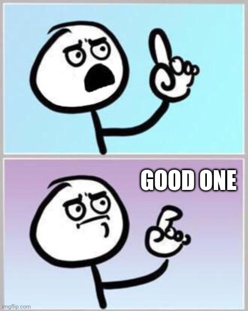 Wait what? | GOOD ONE | image tagged in wait what | made w/ Imgflip meme maker
