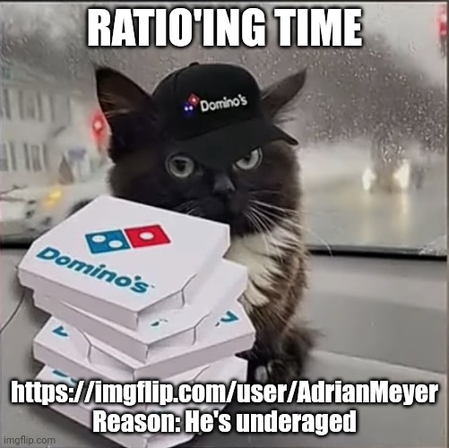 Dominos Cat | RATIO'ING TIME; https://imgflip.com/user/AdrianMeyer
Reason: He's underaged | image tagged in dominos cat | made w/ Imgflip meme maker