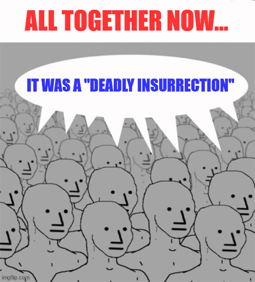 NPCProgramScreed | ALL TOGETHER NOW... IT WAS A "DEADLY INSURRECTION" | image tagged in npcprogramscreed | made w/ Imgflip meme maker