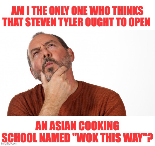 Wok | AM I THE ONLY ONE WHO THINKS THAT STEVEN TYLER OUGHT TO OPEN; AN ASIAN COOKING SCHOOL NAMED "WOK THIS WAY"? | image tagged in hmmm,bad pun | made w/ Imgflip meme maker