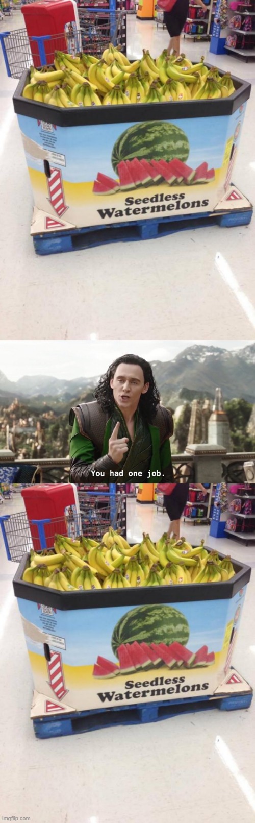 You Had One Job ( Extra long edition) | image tagged in you had one job | made w/ Imgflip meme maker