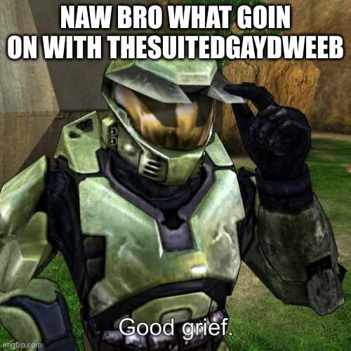 I already didn't like him but uh...this is pure disgusting | NAW BRO WHAT GOIN ON WITH THESUITEDGAYDWEEB | image tagged in halo master chief good grief | made w/ Imgflip meme maker