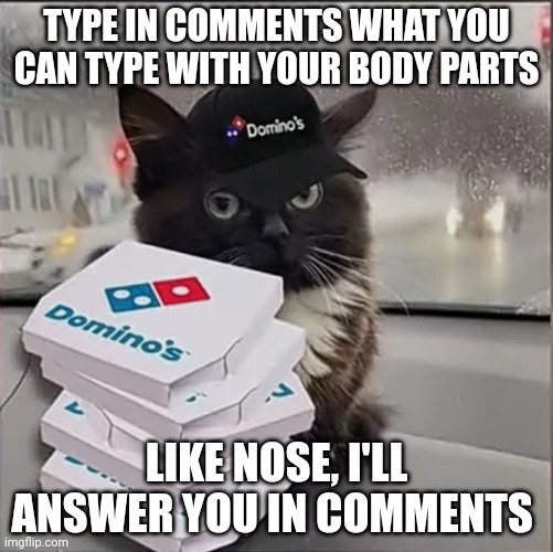 Dominos Cat | TYPE IN COMMENTS WHAT YOU CAN TYPE WITH YOUR BODY PARTS; LIKE NOSE, I'LL ANSWER YOU IN COMMENTS | image tagged in dominos cat | made w/ Imgflip meme maker