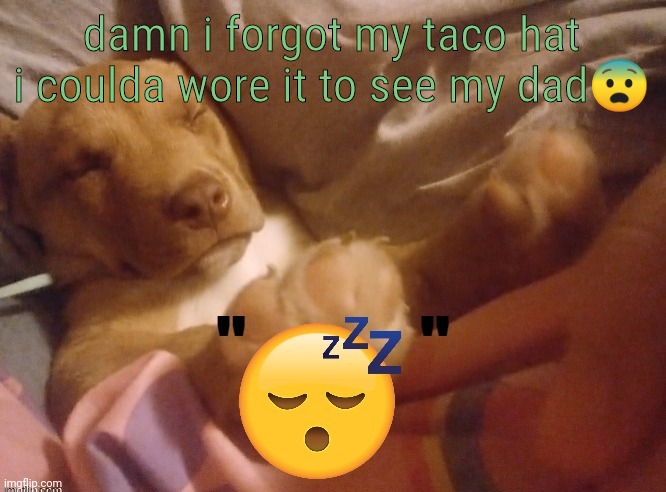 quandale | damn i forgot my taco hat i coulda wore it to see my dad😨 | image tagged in quandale | made w/ Imgflip meme maker