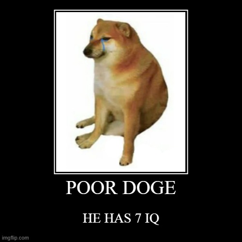 POOR DOGE | HE HAS 7 IQ | image tagged in funny,demotivationals | made w/ Imgflip demotivational maker