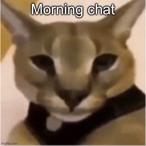 hecker | Morning chat | image tagged in hecker | made w/ Imgflip meme maker