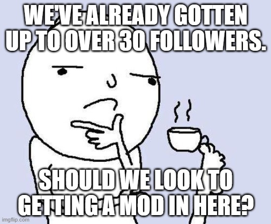 thinking meme | WE'VE ALREADY GOTTEN UP TO OVER 30 FOLLOWERS. SHOULD WE LOOK TO GETTING A MOD IN HERE? | image tagged in thinking meme,no tags | made w/ Imgflip meme maker