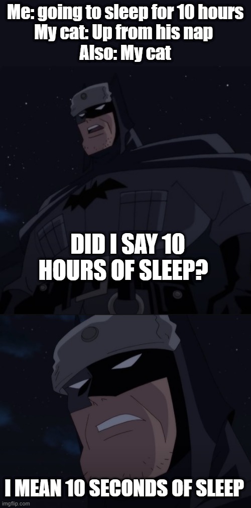 When try to go to bed with an active cat. | Me: going to sleep for 10 hours
My cat: Up from his nap 
Also: My cat; DID I SAY 10 HOURS OF SLEEP? I MEAN 10 SECONDS OF SLEEP | image tagged in batman | made w/ Imgflip meme maker