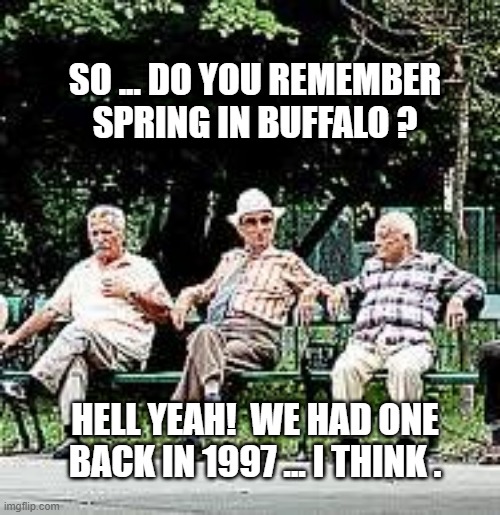 spring in buffalo | SO ... DO YOU REMEMBER
SPRING IN BUFFALO ? HELL YEAH!  WE HAD ONE BACK IN 1997 ... I THINK . | image tagged in spring | made w/ Imgflip meme maker