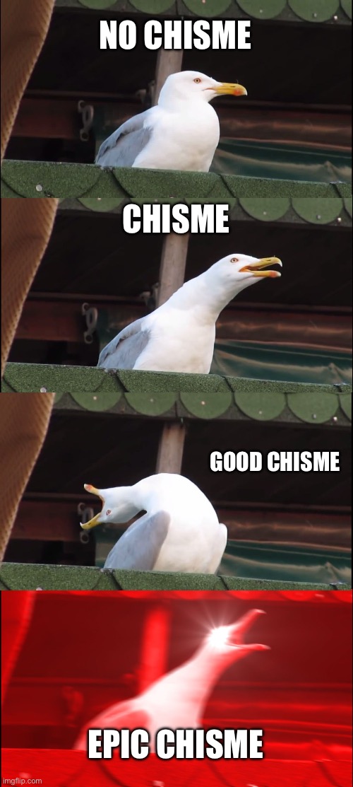 Only Mexicans understand | NO CHISME; CHISME; GOOD CHISME; EPIC CHISME | image tagged in memes,inhaling seagull | made w/ Imgflip meme maker