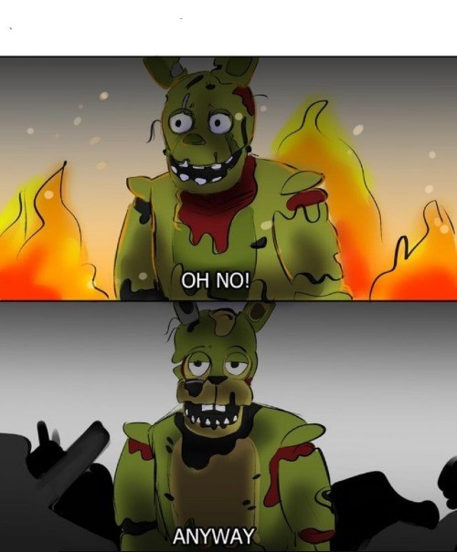 Oh, no! Anyway... but FNaF!!! Blank Meme Template