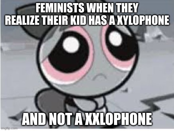 xxlophone | FEMINISTS WHEN THEY REALIZE THEIR KID HAS A XYLOPHONE; AND NOT A XXLOPHONE | image tagged in sad blossom | made w/ Imgflip meme maker