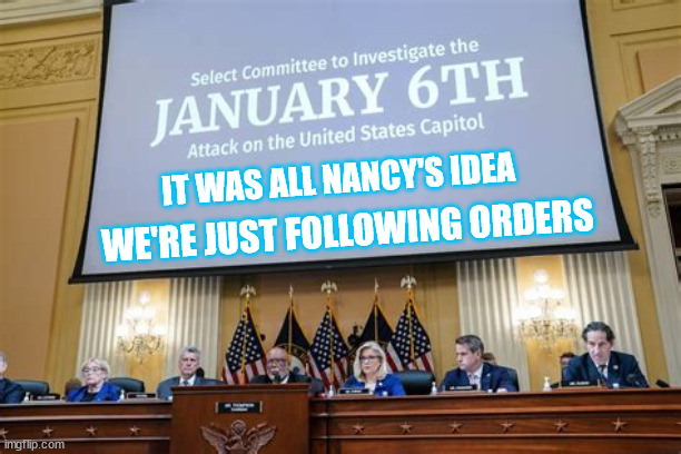 Jan 6 committee disclaimer... "It's not our fault" | IT WAS ALL NANCY'S IDEA WE'RE JUST FOLLOWING ORDERS | image tagged in nancy pelosi,guilty | made w/ Imgflip meme maker