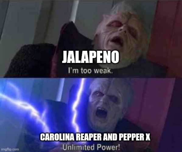 Pepper has ultimate power | JALAPENO; CAROLINA REAPER AND PEPPER X | image tagged in i m too weak unlimited power | made w/ Imgflip meme maker