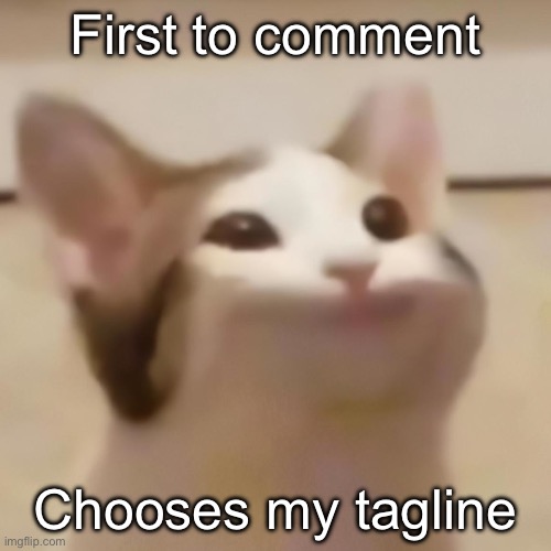 pop cat | First to comment; Chooses my tagline | image tagged in pop cat | made w/ Imgflip meme maker