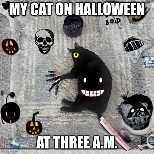 My cat | MY CAT ON HALLOWEEN; AT THREE A.M. | image tagged in 3 am,halloween,cat | made w/ Imgflip meme maker