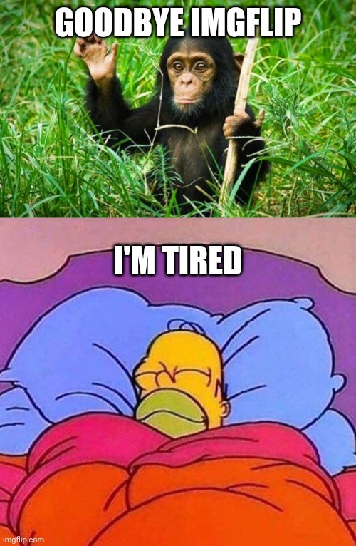 Hahaha | GOODBYE IMGFLIP; I'M TIRED | image tagged in goodbye,homer simpson sleeping peacefully | made w/ Imgflip meme maker
