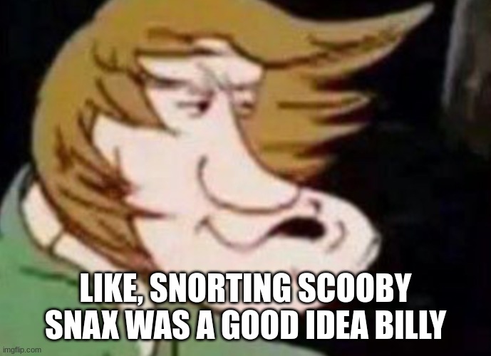 Dank Shaggy | LIKE, SNORTING SCOOBY SNAX WAS A GOOD IDEA BILLY | image tagged in dank shaggy | made w/ Imgflip meme maker