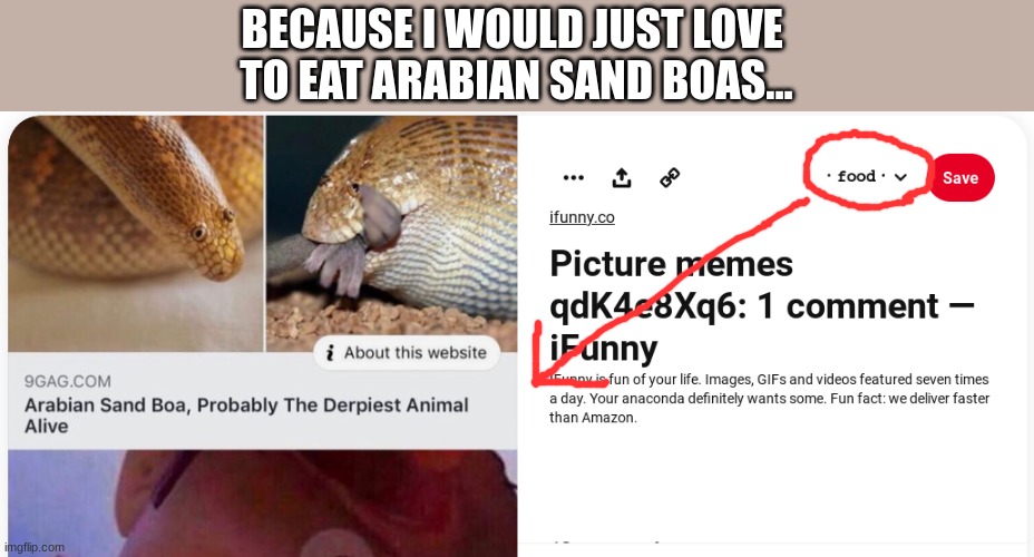 yum snake | BECAUSE I WOULD JUST LOVE 
TO EAT ARABIAN SAND BOAS... | image tagged in funny memes,lol so funny,memes,snakes,funny,fun | made w/ Imgflip meme maker
