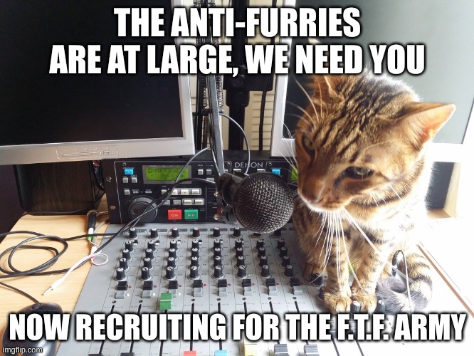 cat radio | THE ANTI-FURRIES ARE AT LARGE, WE NEED YOU; NOW RECRUITING FOR THE F.T.F. ARMY | image tagged in cat radio | made w/ Imgflip meme maker