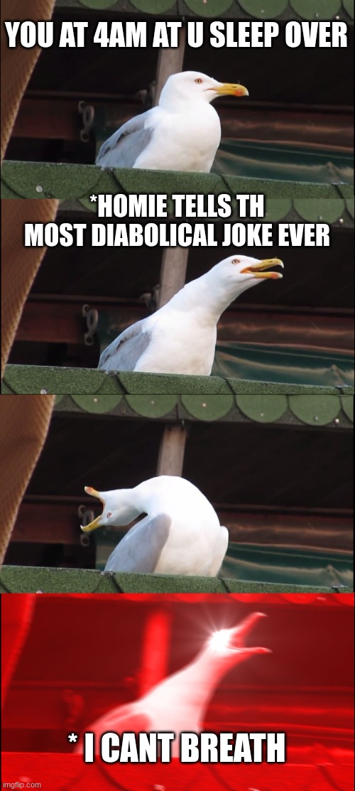 Inhaling Seagull Meme | YOU AT 4AM AT U SLEEP OVER *HOMIE TELLS TH MOST DIABOLICAL JOKE EVER * I CANT BREATH | image tagged in memes,inhaling seagull | made w/ Imgflip meme maker