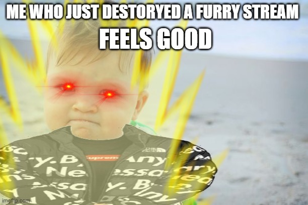LETS GOOOOOOOOOOOOOOOOOOOOOOOOOOOOOOOOOOOOOOOOOOO | FEELS GOOD; ME WHO JUST DESTORYED A FURRY STREAM | image tagged in goku drip,anti furry,power | made w/ Imgflip meme maker
