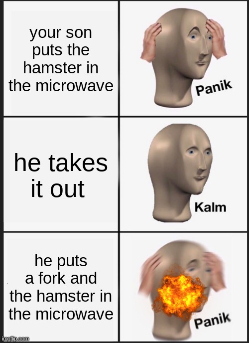 house go boom boom | your son puts the hamster in the microwave; he takes it out; he puts a fork and the hamster in the microwave | image tagged in memes,panik kalm panik | made w/ Imgflip meme maker