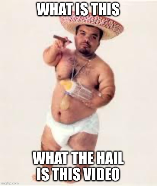 mexican dwarf | WHAT IS THIS WHAT THE HAIL IS THIS VIDEO | image tagged in mexican dwarf | made w/ Imgflip meme maker