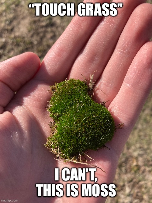 “TOUCH GRASS”; I CAN’T, THIS IS MOSS | made w/ Imgflip meme maker