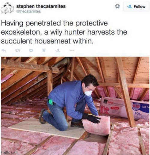 how to survive on housemeat | image tagged in memes,funner | made w/ Imgflip meme maker