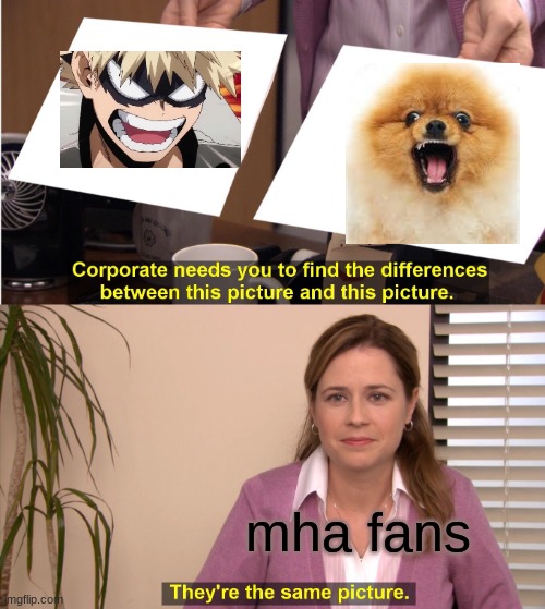 They're The Same Picture | mha fans | image tagged in memes,they're the same picture | made w/ Imgflip meme maker