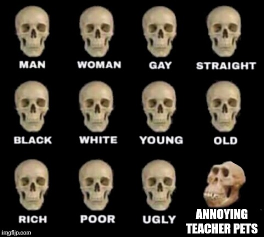 idiot skull | ANNOYING TEACHER PETS | image tagged in idiot skull | made w/ Imgflip meme maker