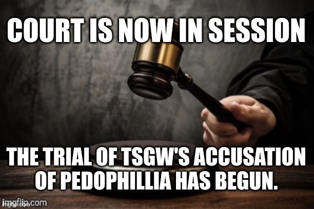 I SAY ILL HANDLE THIS MYSELF. | COURT IS NOW IN SESSION; THE TRIAL OF TSGW'S ACCUSATION OF PEDOPHILLIA HAS BEGUN. | image tagged in court | made w/ Imgflip meme maker