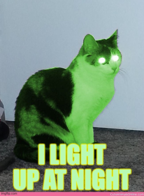 Hypno Raycat | I LIGHT UP AT NIGHT | image tagged in hypno raycat | made w/ Imgflip meme maker