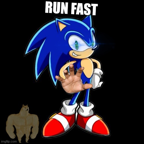 You're Too Slow Sonic | RUN FAST | image tagged in memes,you're too slow sonic | made w/ Imgflip meme maker