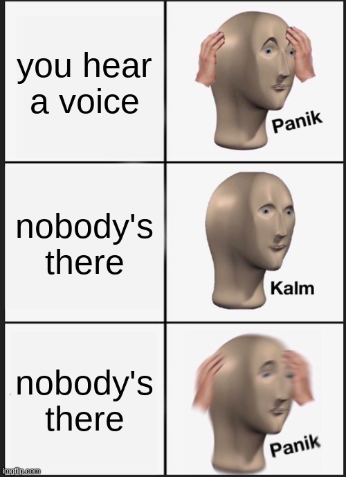 UH OH!!! | you hear a voice; nobody's there; nobody's there | image tagged in memes,panik kalm panik | made w/ Imgflip meme maker