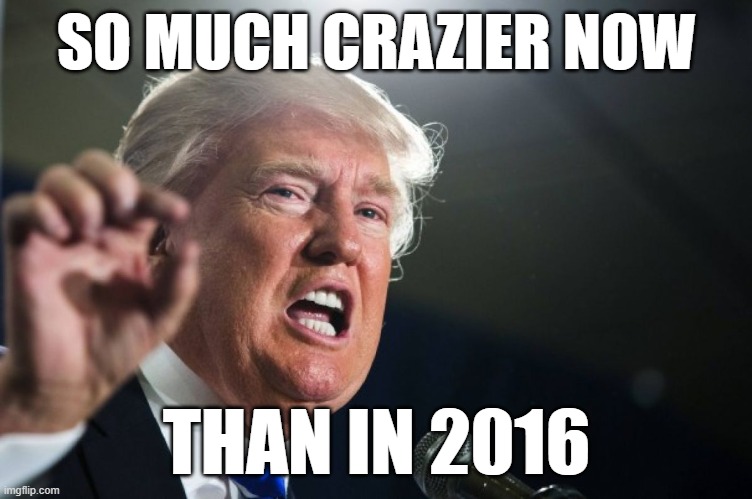 donald trump | SO MUCH CRAZIER NOW THAN IN 2016 | image tagged in donald trump | made w/ Imgflip meme maker