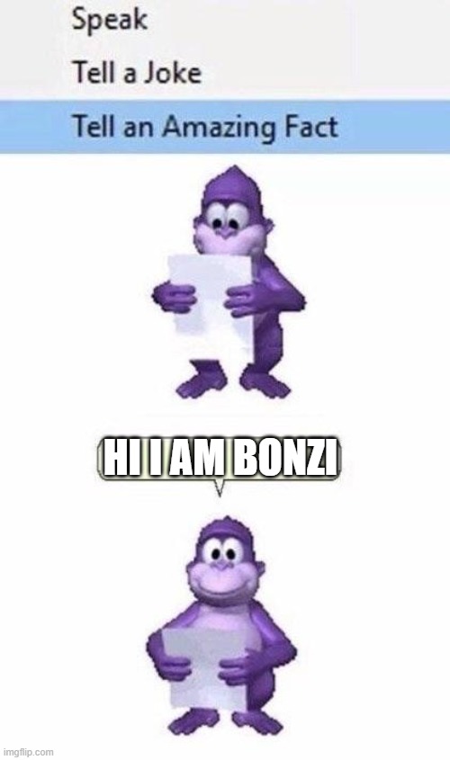 Bonzi Tells a Fun Fact |  HI I AM BONZI | image tagged in bonzi tells a fun fact | made w/ Imgflip meme maker