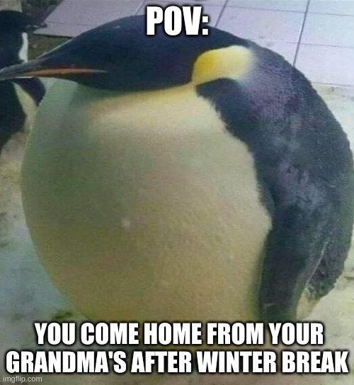 This is me fr | POV:; YOU COME HOME FROM YOUR GRANDMA'S AFTER WINTER BREAK | image tagged in i'm da biggest bird | made w/ Imgflip meme maker