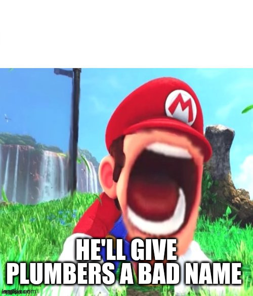 mario screaming | HE'LL GIVE PLUMBERS A BAD NAME | image tagged in mario screaming | made w/ Imgflip meme maker