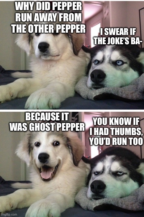 Hehe | WHY DID PEPPER RUN AWAY FROM THE OTHER PEPPER; I SWEAR IF THE JOKE’S BA-; BECAUSE IT WAS GHOST PEPPER; YOU KNOW IF I HAD THUMBS, YOU’D RUN TOO | image tagged in bad pun dogs,pepper,i hate you | made w/ Imgflip meme maker